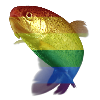 gay_trout