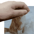 eris_pat