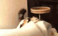 grr