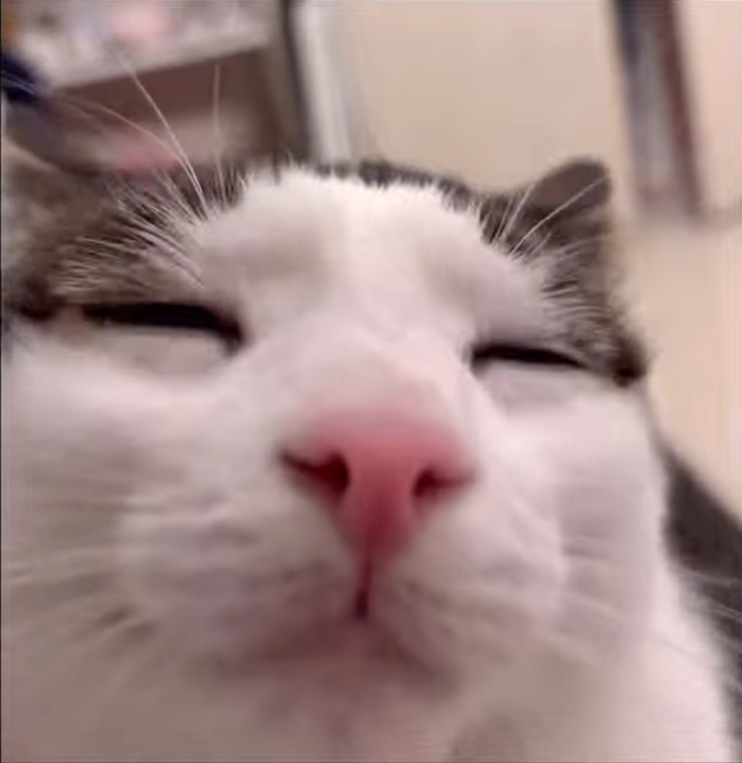 awake_but_at_what_cost_real